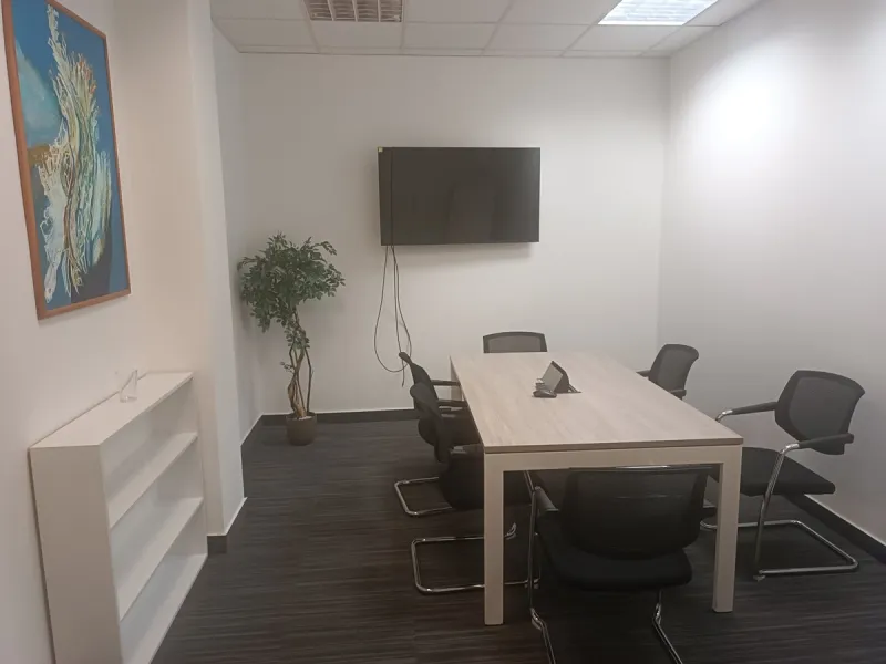Phone photo of a meeting room with a wall-mounted TV, a long table, mesh chairs and a potted plant