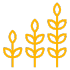 Earn and learn icon